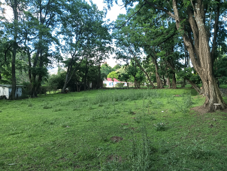 0 Bedroom Property for Sale in Rhodes Eastern Cape